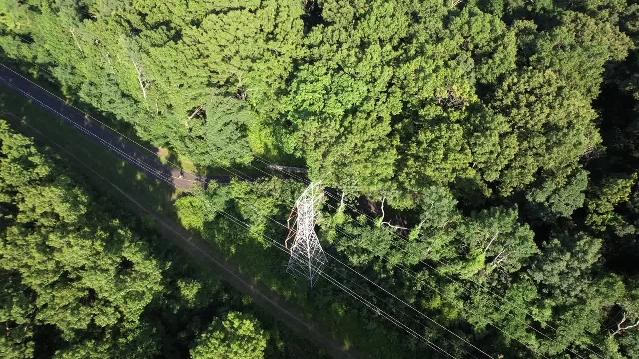 una vista aérea de árboles altos y verdes en un día soleado en long island, nueva york