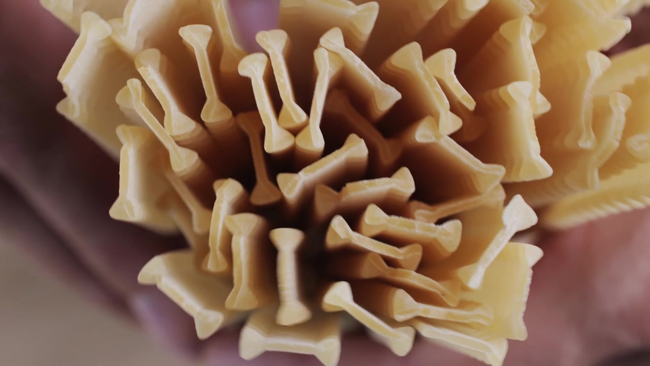Tampilan Jarak Dekat Pasta Italia Mentah Berbentuk Unik