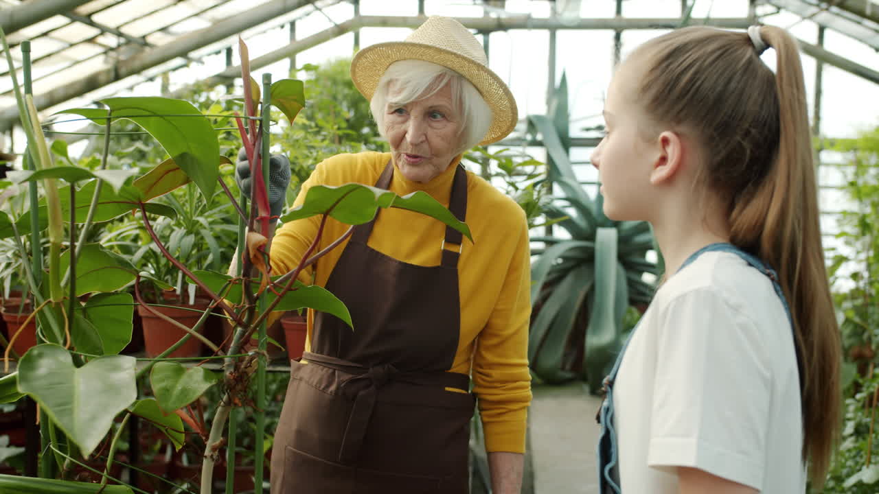 Grandmother and Granddaughter Caring for Plants in a Greenhouse