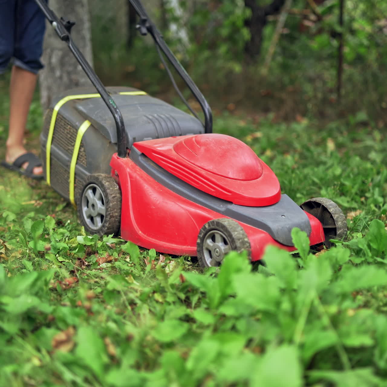 Red lawn mower in the garden. Boy is cutting grass by electrical mower machine outdoors.