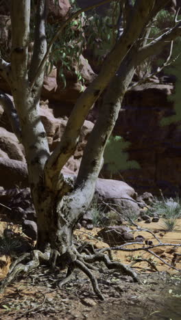 lush tree by tranquil river in a secluded canyon at dusk