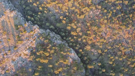 Beautiful-bird's-eye-view-of-green-trees-on-mountain-Tlaloc-in-Mexico-during-sunset