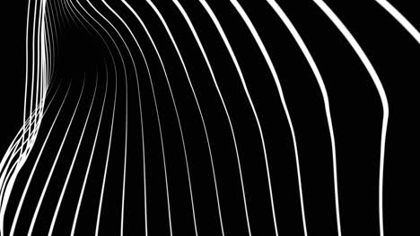 abstract wavy white lines on black background