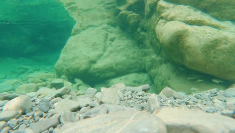 Lapso-De-Tiempo-Bajo-El-Agua-En-Un-Río-De-Montaña-Con-Truchas