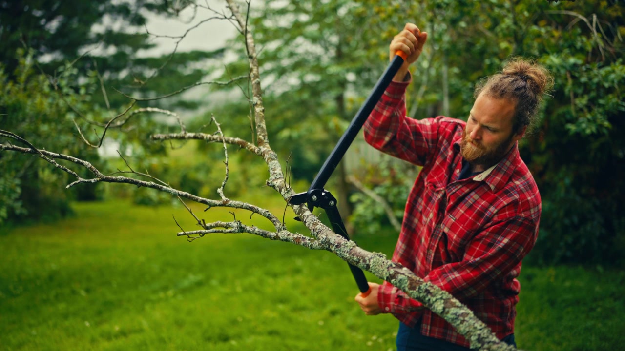 A man uses extendable loppers to cut a tree branch in rural Norway