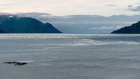 ice in water near the hubbard glacier in alaska