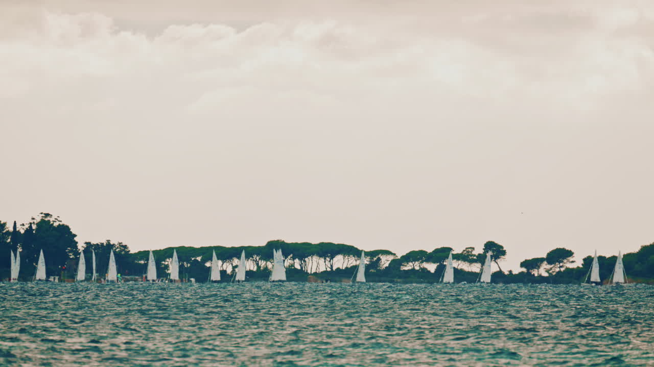 A sailing regatta off the coast, with numerous white sails lined up near a tree covered island