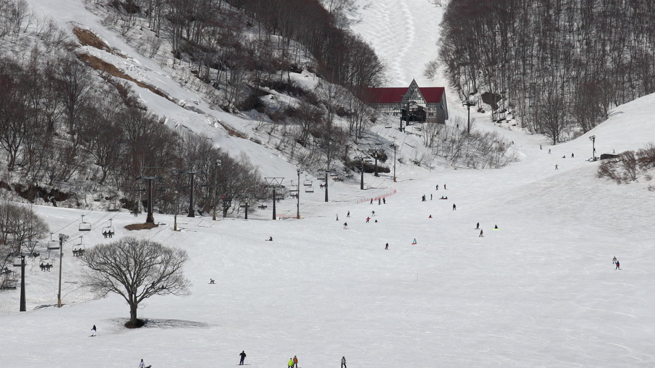 High angle view of people skiing and snowboarding in Nagano