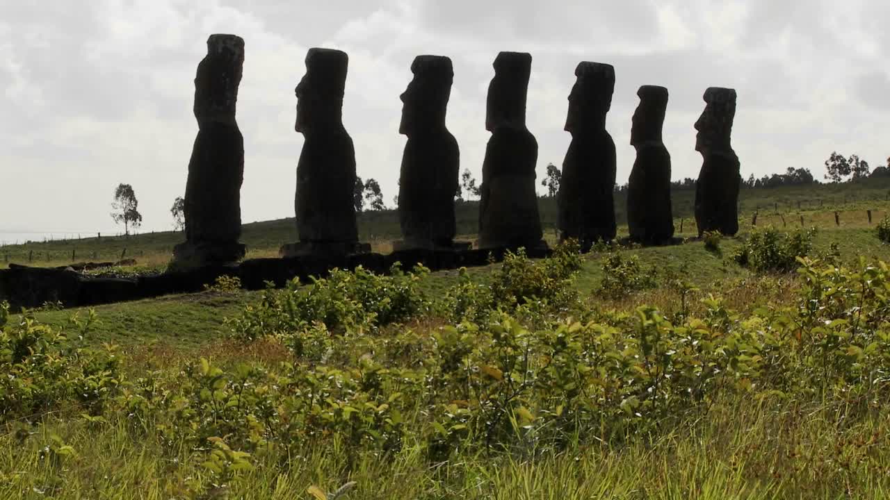 L'erba ondeggia davanti alle statue dell'Isola di Pasqua 1.