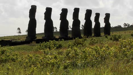 grass blows in front of the easter island statues 1