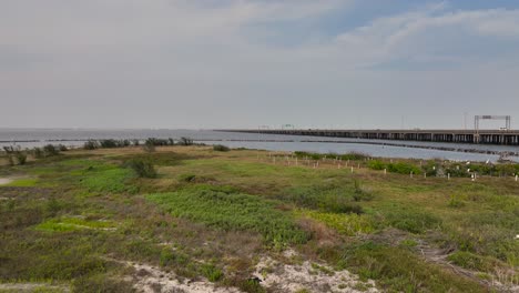 Isla-De-Preservación-De-La-Vida-Silvestre-Para-Aves-Acuáticas-Coloniales-Migratorias-En-La-Bahía-De-Nueces-En-Texas