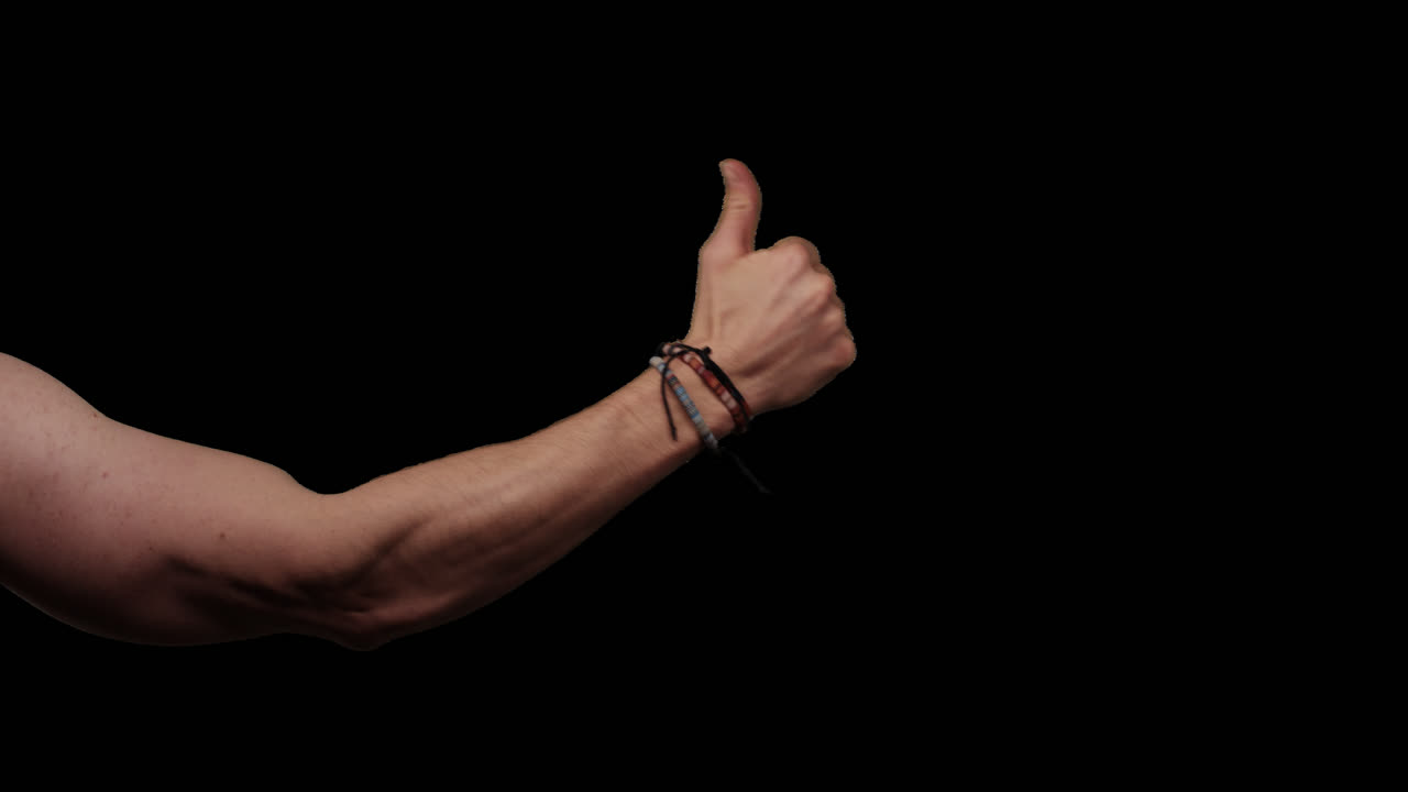 알파 채널에 대한 손의 제스처