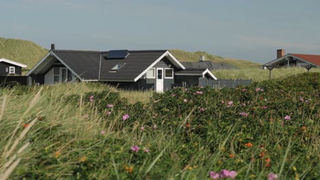 Traditional-scandinavian-wooden-house-with-flowers-and-plants-in-foreground,-trucking-shot