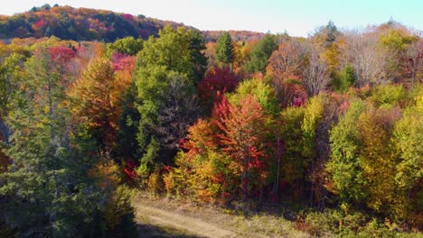 Beauty-of-autumn-season-with-vibrant-colors-and-sunshine,-aerial-close-fly-view