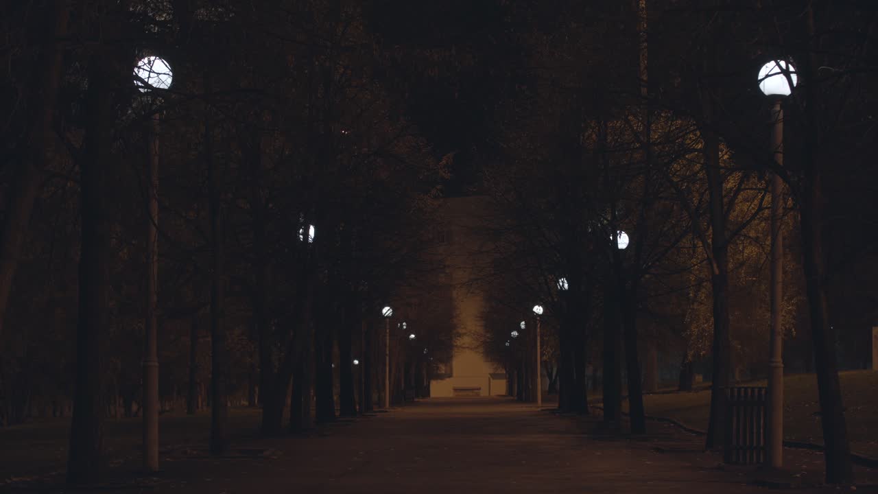 camino nocturno vacío en un parque