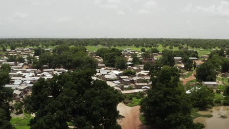 africa mali village and forest aerial view 5