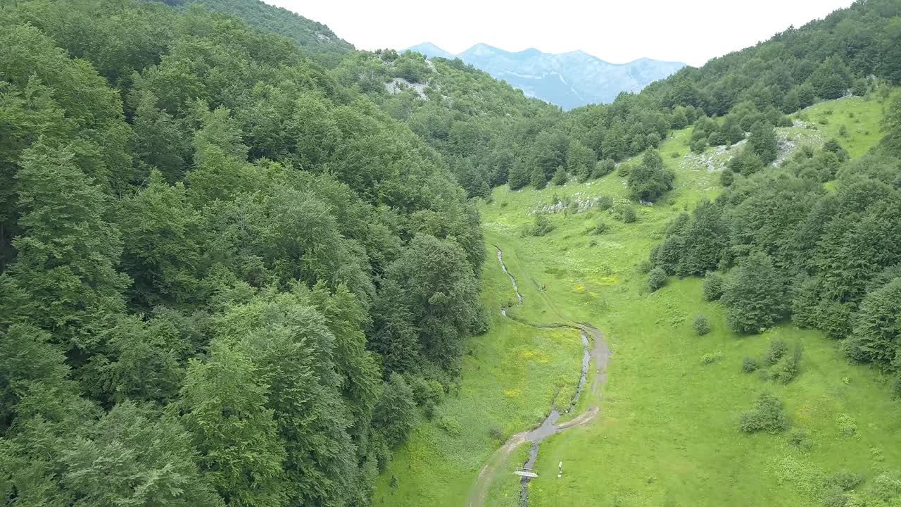 borov kamak, vratsa, bulgaria, arroyo en el bosque