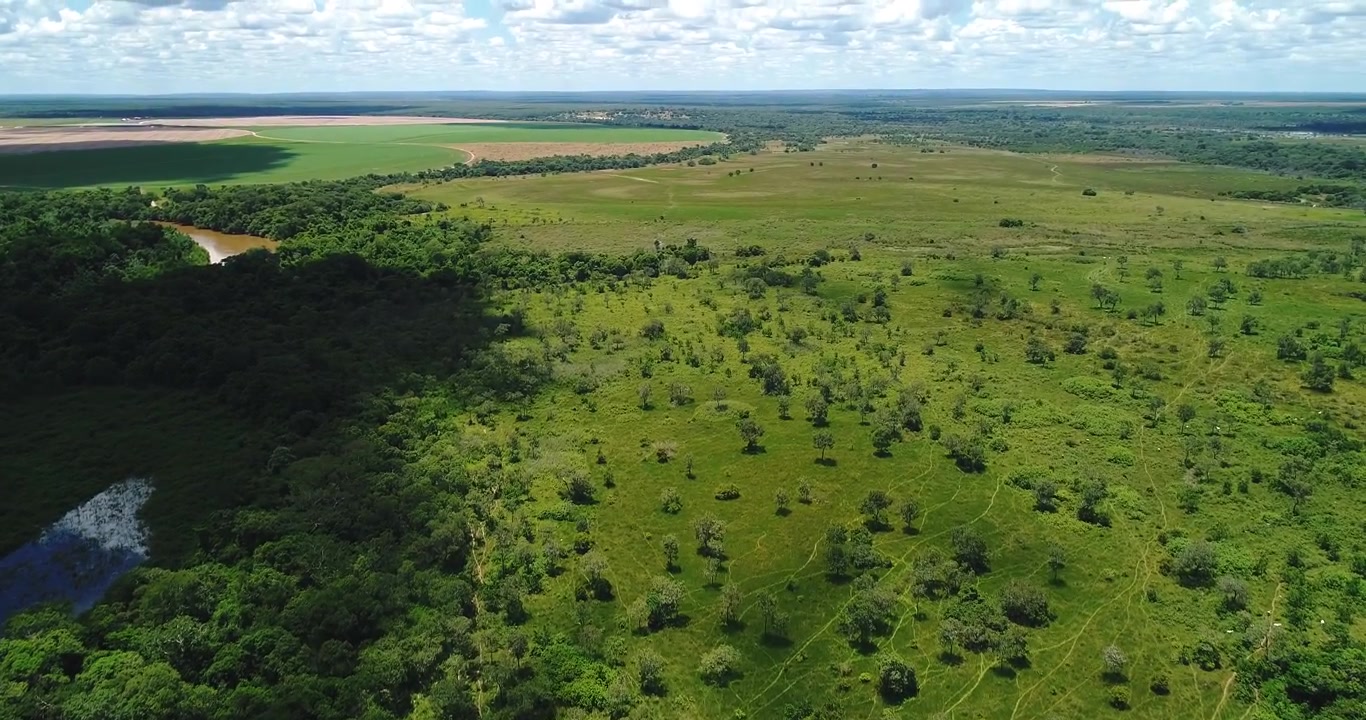 Wet cerrado grassland and agricultural terrain near Arinos, Minas Gerais, Brazil with scattered shrubs, seasonal wetlands and rural pasture under cloudy sky. Drone yaw and forward flyover.