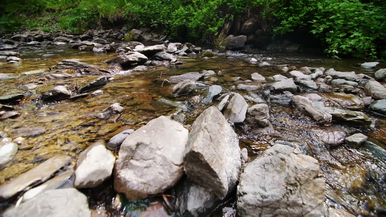 Rocky Stream in the Forest