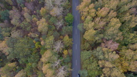 Vista-Aérea-De-Los-Automóviles-Que-Viajan-A-Lo-Largo-Del-Bosque-Con-árboles-Amarillos-Durante-El-Otoño-En-La-Península-De-Hel