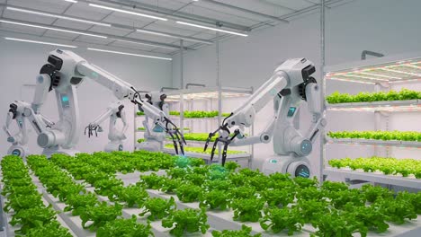 innovative agricultural robotics: advanced automation cultivating fresh lettuce in a high-tech indoor farming environment with precision and efficiency