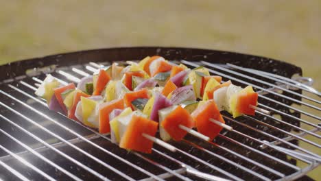 healthy colorful kebabs with fresh vegetables