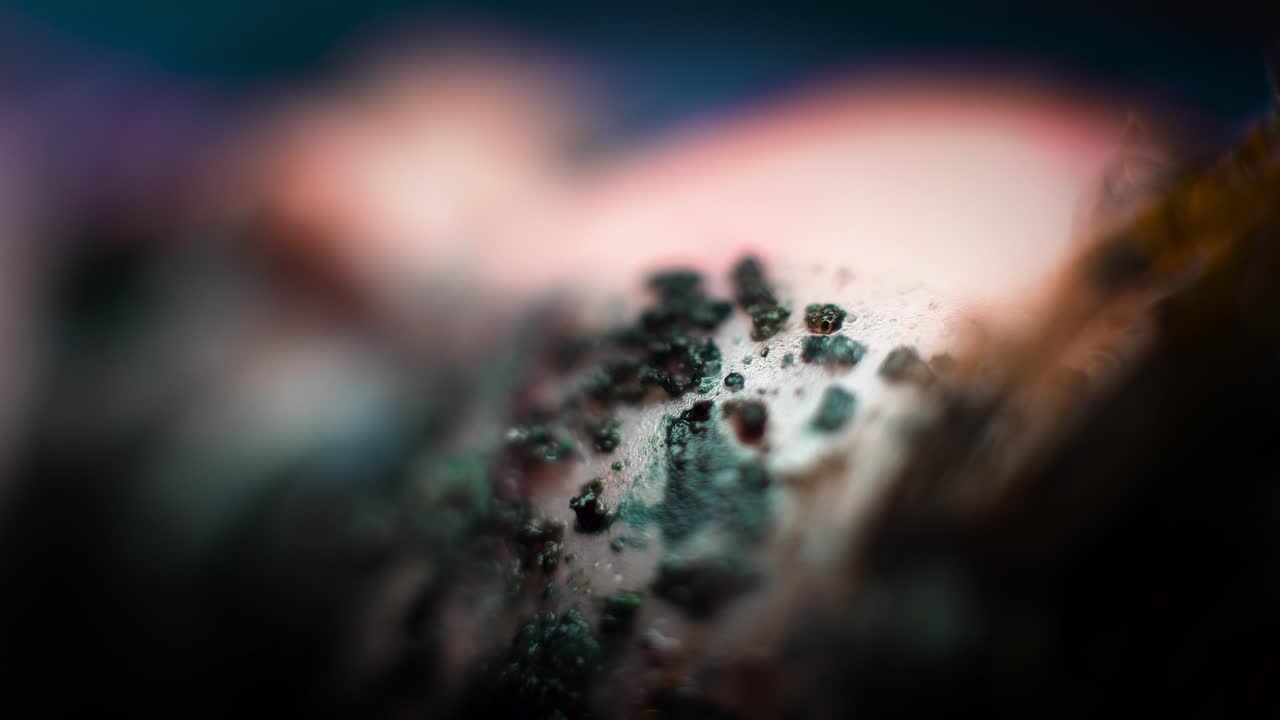 macro poca profundidad de campo cara de muñecas con maquillaje brillante y barro de mugre de arena en la cara