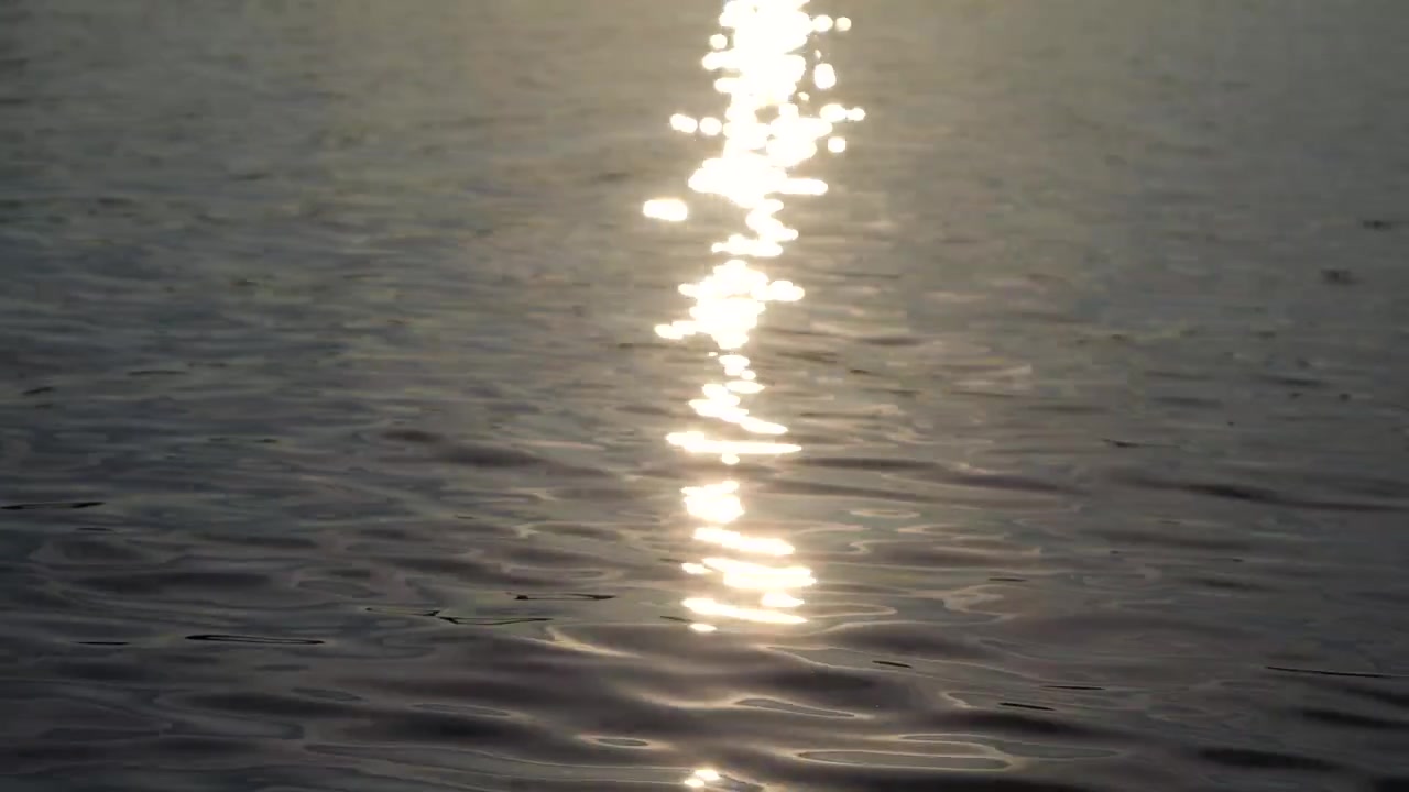 Sunlight reflects across the calm surface of a lake creating a bright shimmering path of light on the water