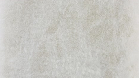 slow zoom reveals plush white fur surface close-up