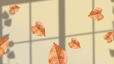 animation of fall leaves floating over window shadow on yellow background