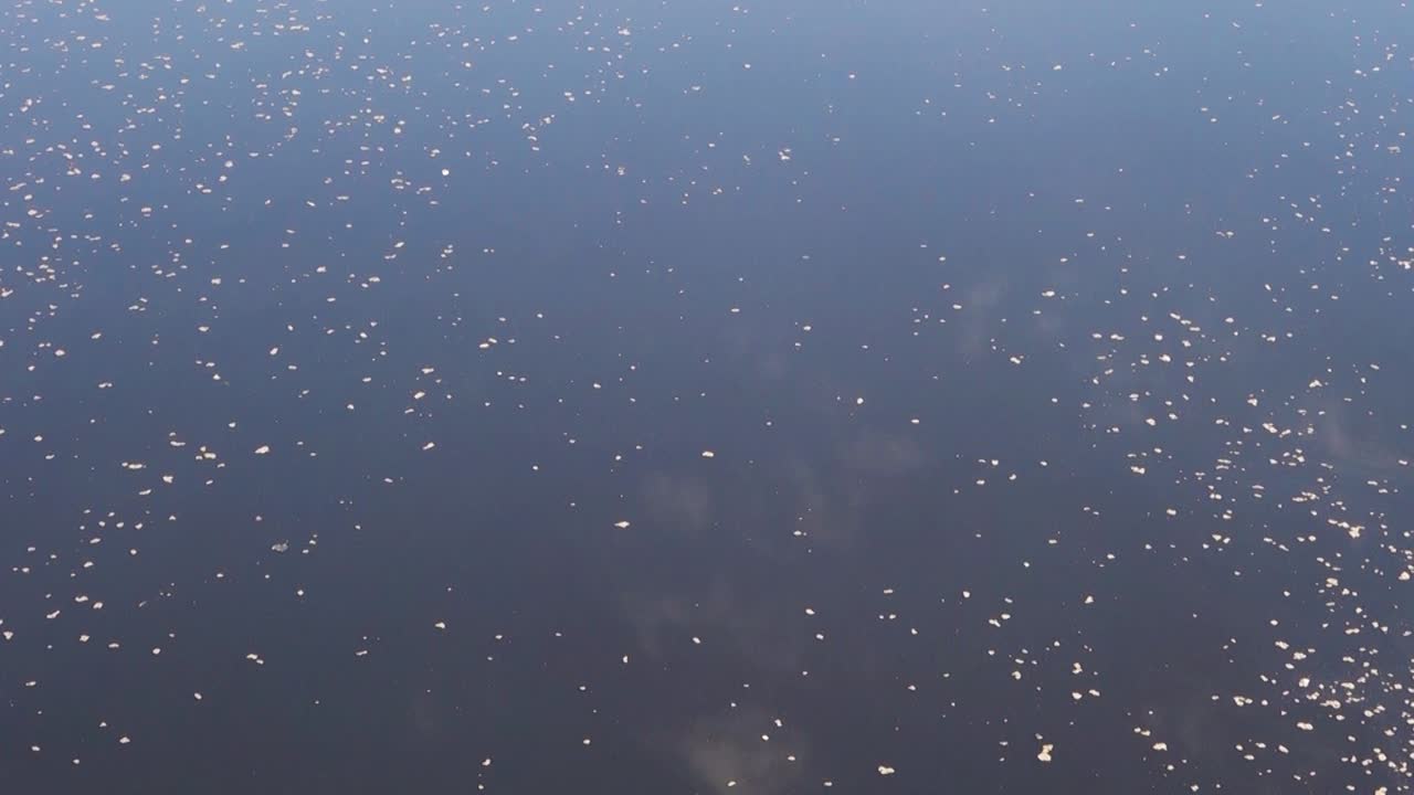 오염된 티에트 강이 흐르는 어두운 물