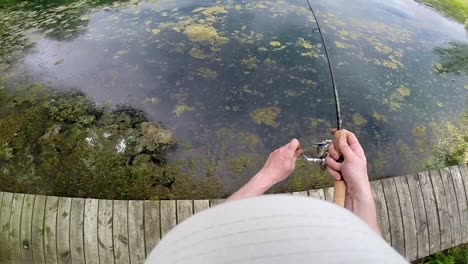 pesca de peces desde un muelle - tiro de ángulo alto