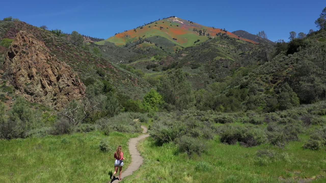 mujer corre hacia la montaña coloreada por amapolas superbloom