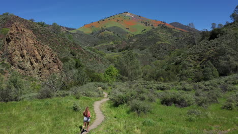 woman runs towards mountain colored by superbloom poppies