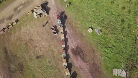 a tractor with a trailer is exporting apples near wooden boxes with harvest of apples on the territory of apple orchard. aerial view.