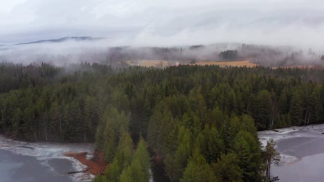 aerial shot of trees around a frozen lake covered in fog in sweden