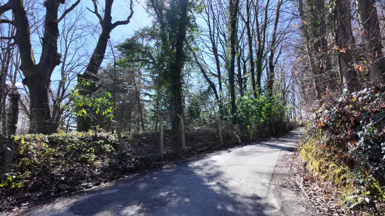 Sunny Road Through a Wooded Area with Bright Sunlight