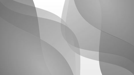 animation of grey waving layers with copy space on white background