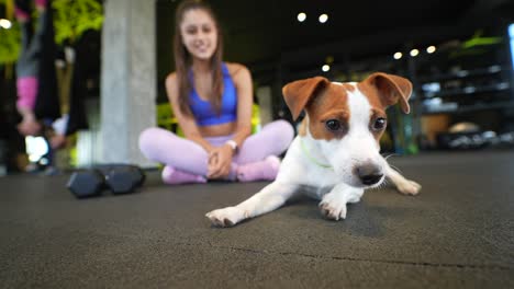mujer y perro en el gimnasio