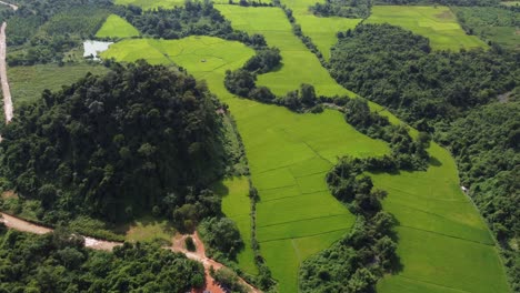 Stunning-bird's-eye-view-of-rice-paddies-in-the-countryside-of-Laos