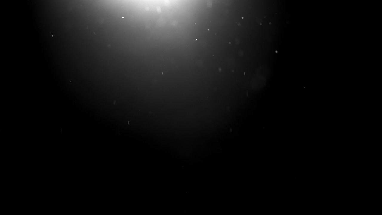 보케와 함께 반이는 반이는 입자