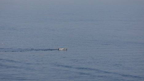 motorboat sailing on calm sea surface tracing seawater at summer morning