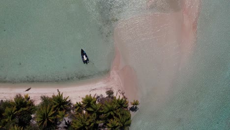 hermosa toma aérea de drones de una isla en una laguna azul del atolón de fakarava, polinesia francesa, pacífico sur