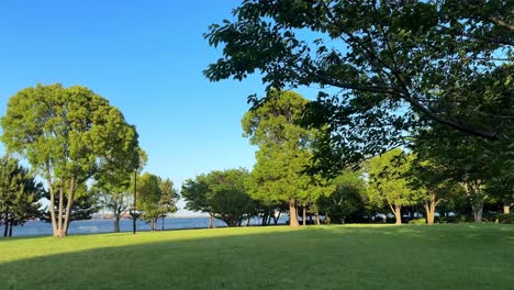 Sunny-day-in-a-lush-park-with-green-trees-and-a-view-of-a-tranquil-lake