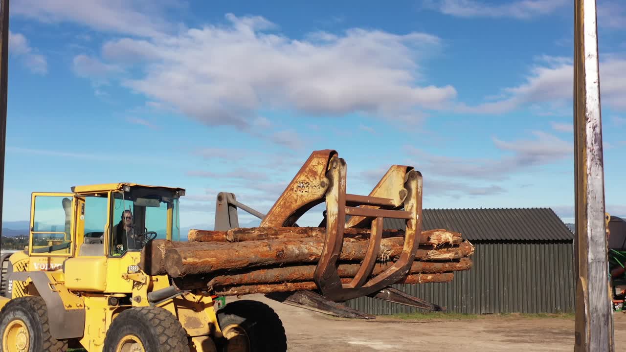 Big wheel loader grabbing last tree trunks off a truck, dolly in and tracking