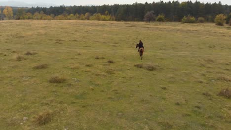 tiro de seguimiento aéreo largo de niña montando a caballo en el campo de hierba
