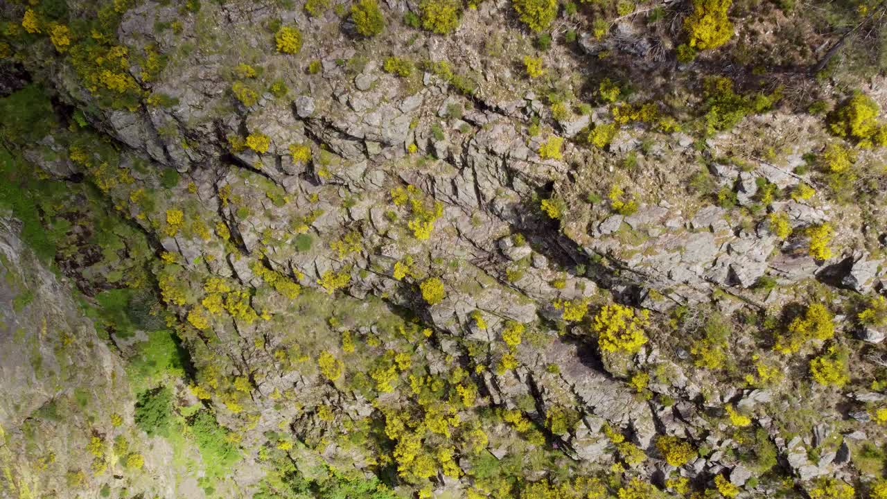 toma aérea de aves del terreno que rodea la cascata de fisgas do ermelo - hermosas cascadas en el parque natural do alvao - portugal