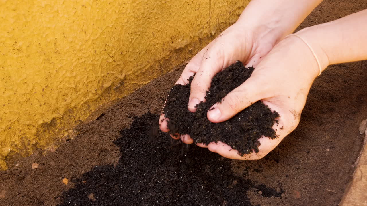 distribuir fertilizante a mano en un pequeño huerto en casa