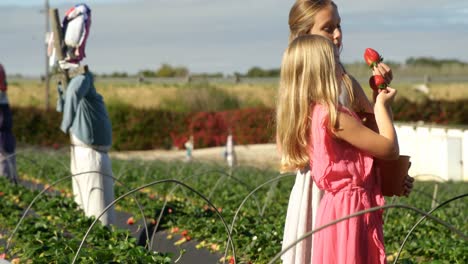 girls examining strawberries in the farm 4k
