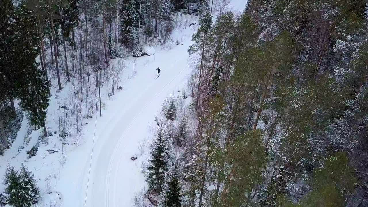 aéreo, vista de arriba hacia abajo, esquiador en el bosque de invierno